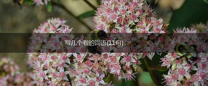写几个看的词语(11句),第1张