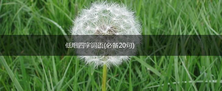 低组四字词语(必备20句),第1张