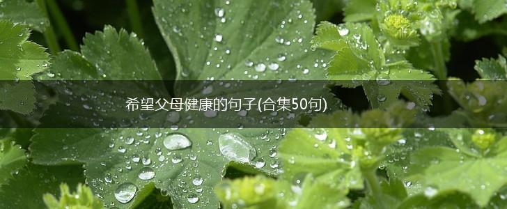希望父母健康的句子(合集50句),第1张