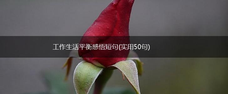 工作生活平衡感悟短句(实用50句),第1张
