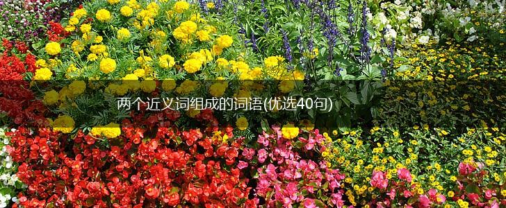 两个近义词组成的词语(优选40句),第1张