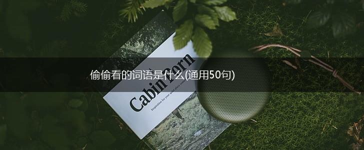 偷偷看的词语是什么(通用50句),第1张