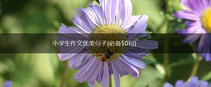小学生作文优美句子(必备50句),第1张