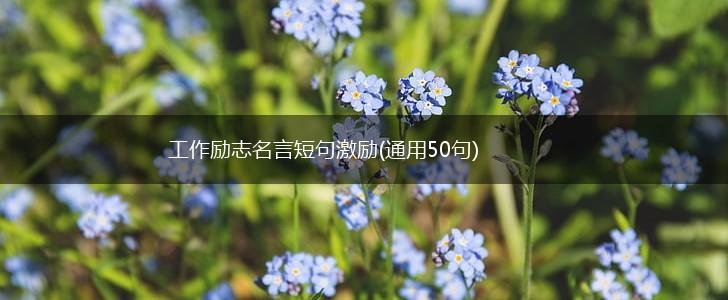 工作励志名言短句激励(通用50句),第1张