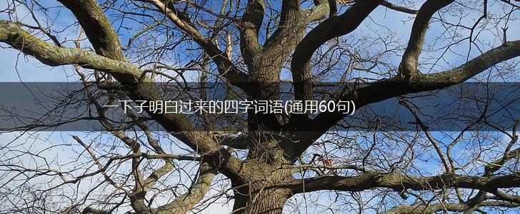 一下子明白过来的四字词语(通用60句),第1张