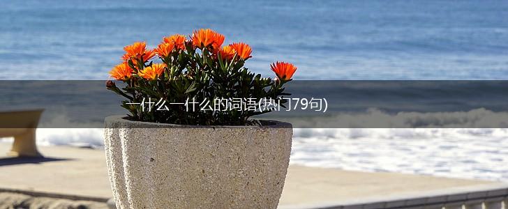 一什么一什么的词语(热门79句),第1张