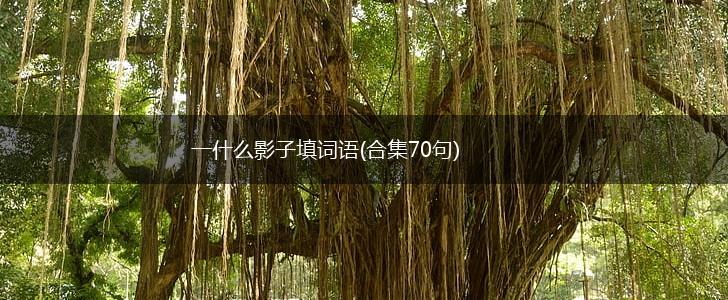 一什么影子填词语(合集70句),第1张