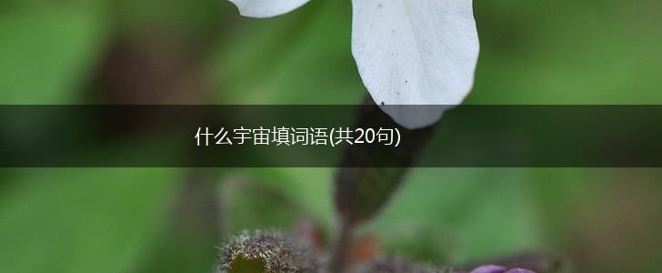 什么宇宙填词语(共20句),第1张
