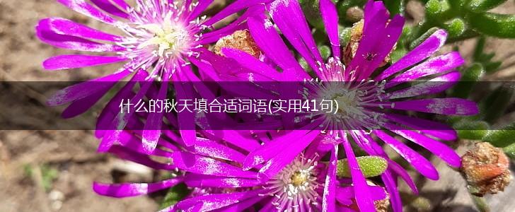 什么的秋天填合适词语(实用41句),第1张
