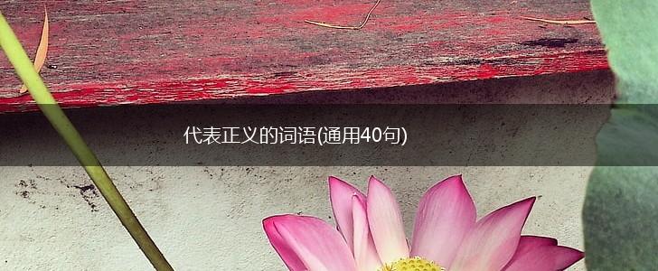 代表正义的词语(通用40句),第1张