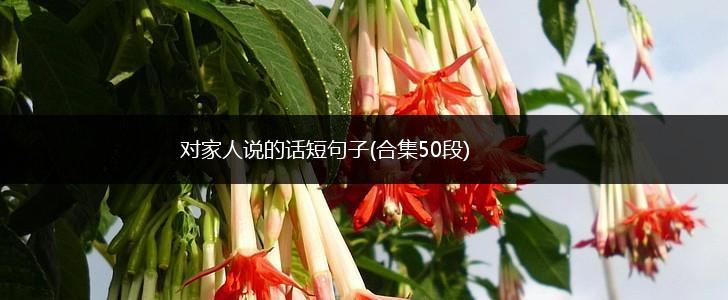 对家人说的话短句子(合集50段),第1张