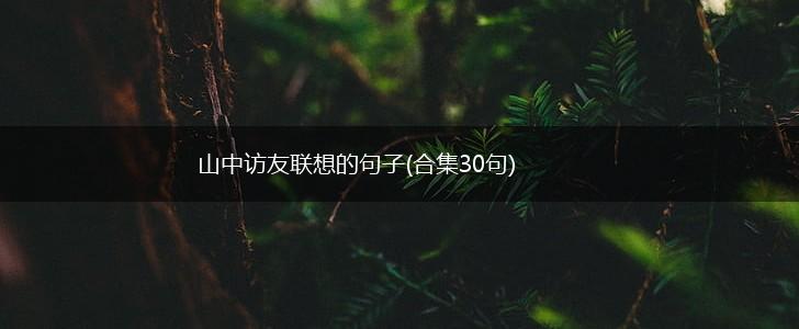 山中访友联想的句子(合集30句),第1张