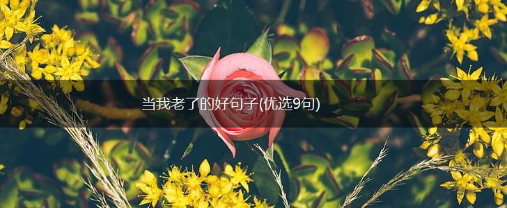 当我老了的好句子(优选9句),第1张