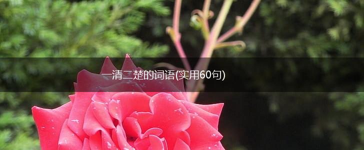 一清二楚的词语(实用60句),第1张