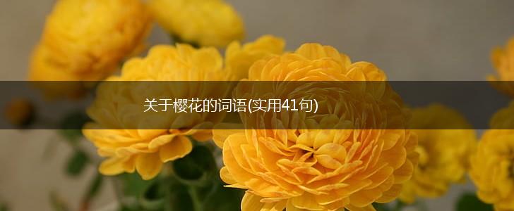 关于樱花的词语(实用41句),第1张
