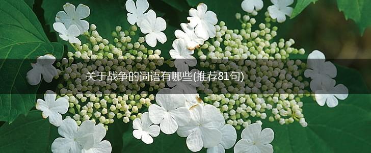关于战争的词语有哪些(推荐81句),第1张
