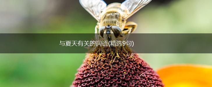 与夏天有关的词语(精选9句),第1张