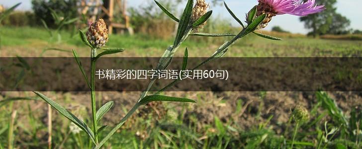 书精彩的四字词语(实用60句),第1张