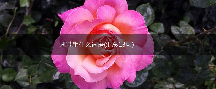刷能组什么词语(汇总13句),第1张