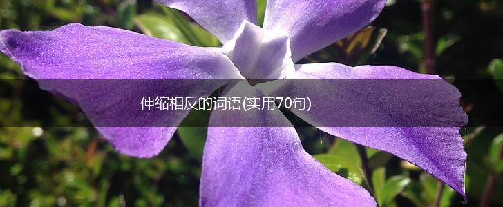 伸缩相反的词语(实用70句),第1张