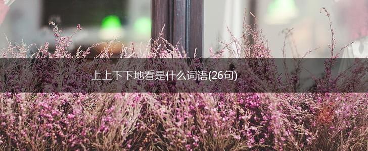 上上下下地看是什么词语(26句),第1张