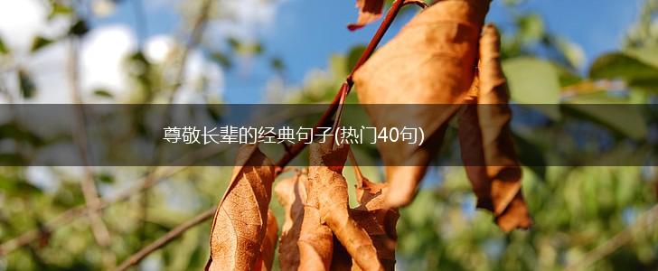尊敬长辈的经典句子(热门40句),第1张