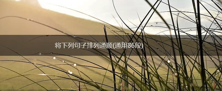 将下列句子排列通顺(通用86段),第1张