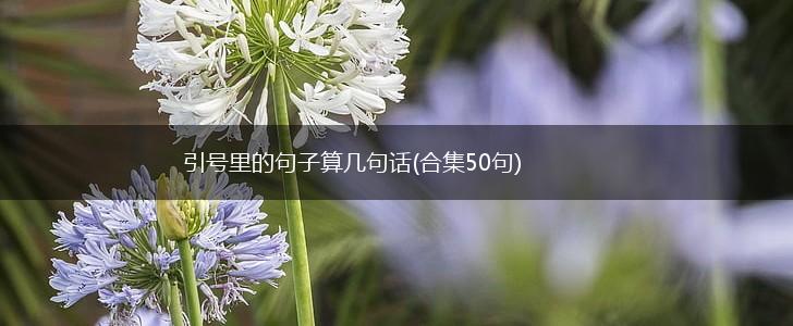 引号里的句子算几句话(合集50句),第1张