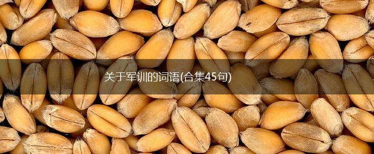 关于军训的词语(合集45句),第1张
