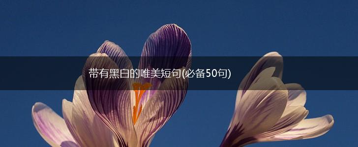 带有黑白的唯美短句(必备50句),第1张