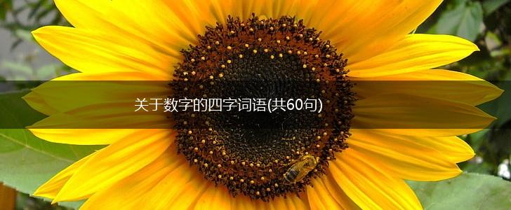 关于数字的四字词语(共60句),第1张