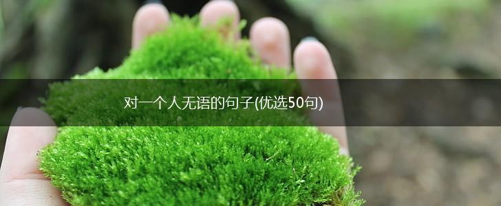 对一个人无语的句子(优选50句),第1张