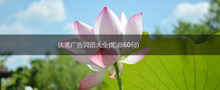 优美广告词语大全(汇总60句),第1张