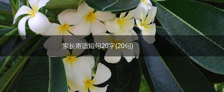 家长寄语短句20字(20句),第1张