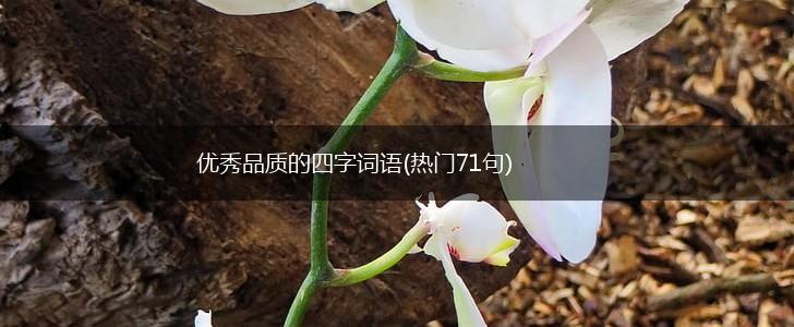 优秀品质的四字词语(热门71句),第1张