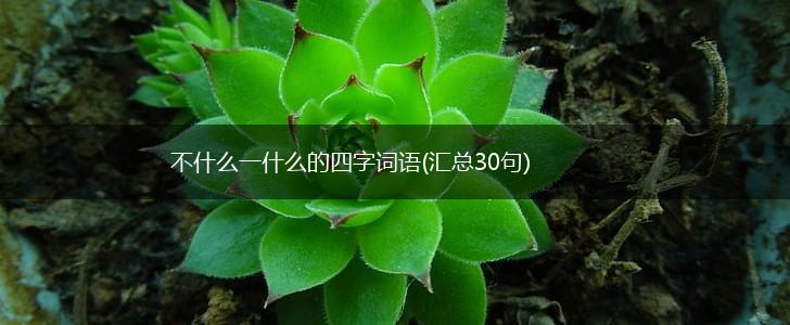 不什么一什么的四字词语(汇总30句),第1张