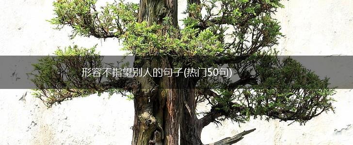 形容不指望别人的句子(热门50句),第1张