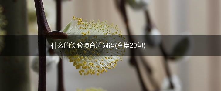 什么的笑脸填合适词语(合集20句),第1张