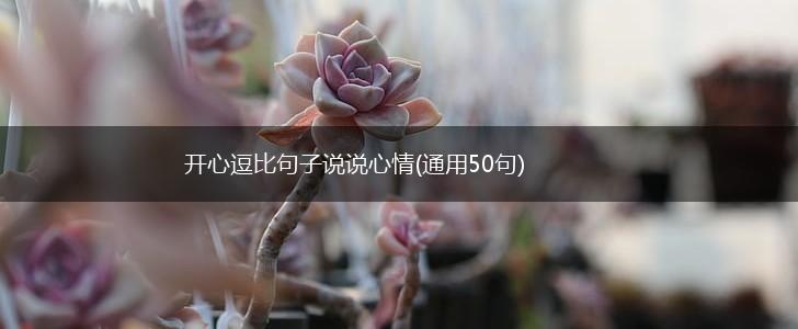 开心逗比句子说说心情(通用50句),第1张