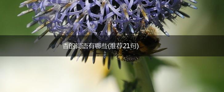 香的词语有哪些(推荐21句),第1张