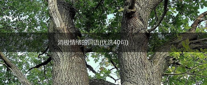 消极情绪的词语(优选40句),第1张