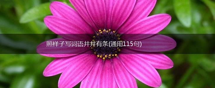 照样子写词语井井有条(通用115句),第1张