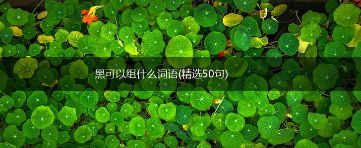 黑可以组什么词语(精选50句),第1张