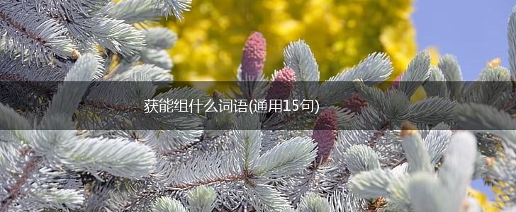 获能组什么词语(通用15句),第1张