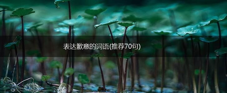 表达歉意的词语(推荐70句),第1张
