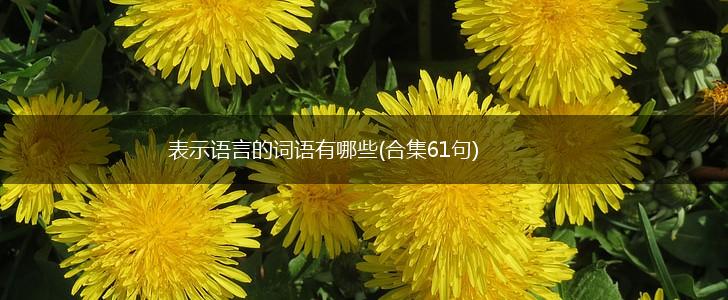 表示语言的词语有哪些(合集61句),第1张
