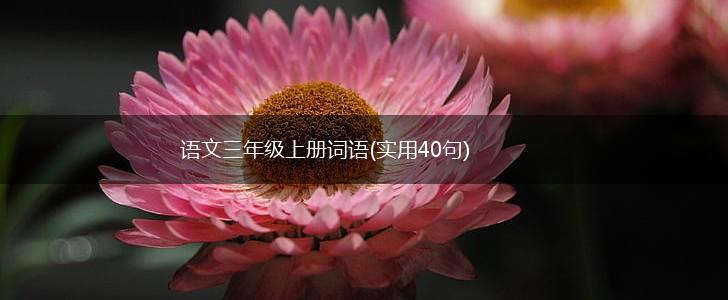 语文三年级上册词语(实用40句),第1张