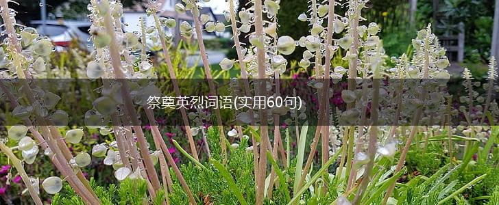 祭奠英烈词语(实用60句),第1张