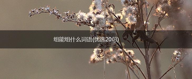 组能组什么词语(优选20句),第1张
