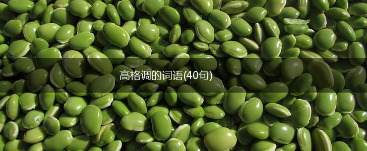 高格调的词语(40句),第1张